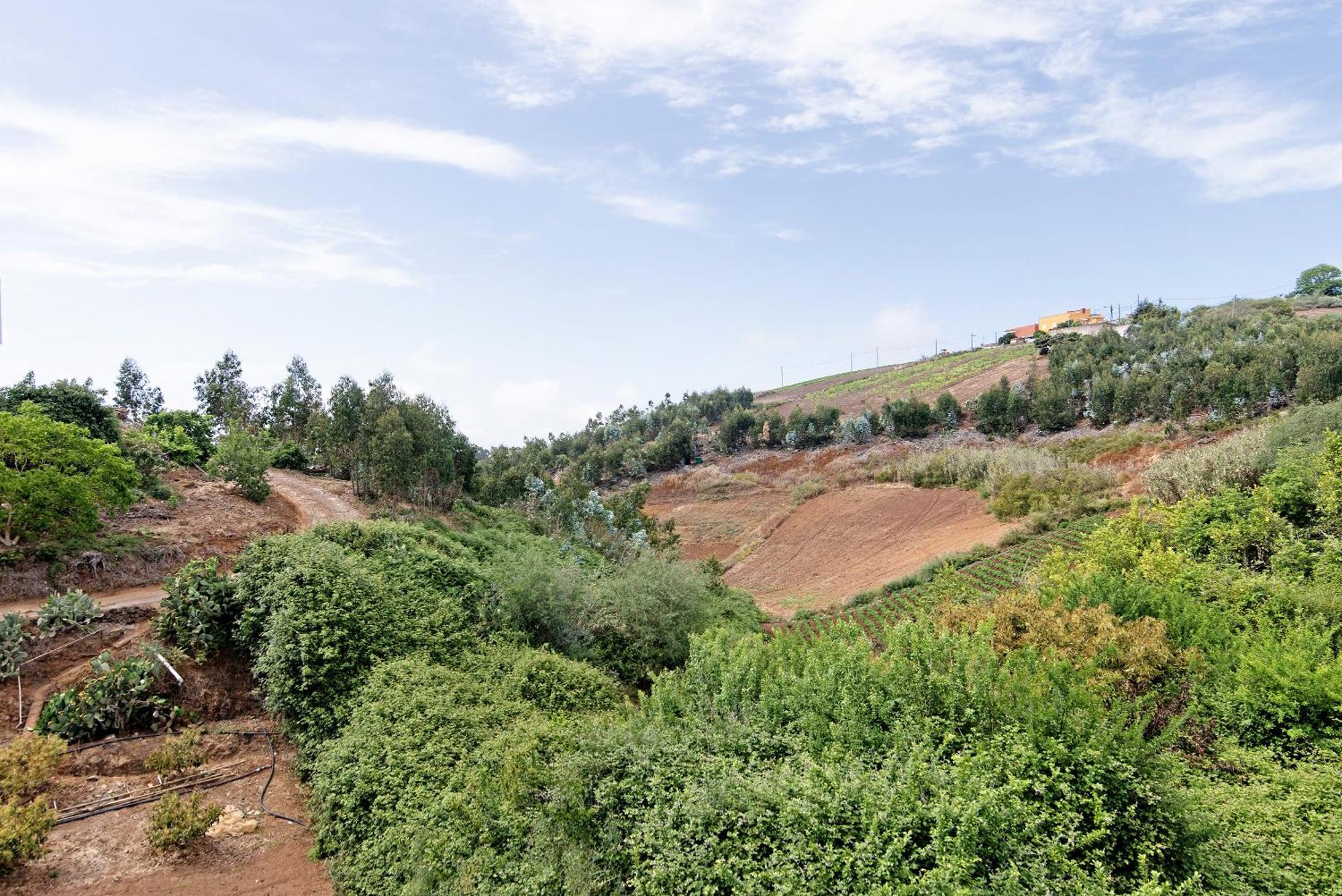Vv El Alpendre Villa Moya  Kültér fotó